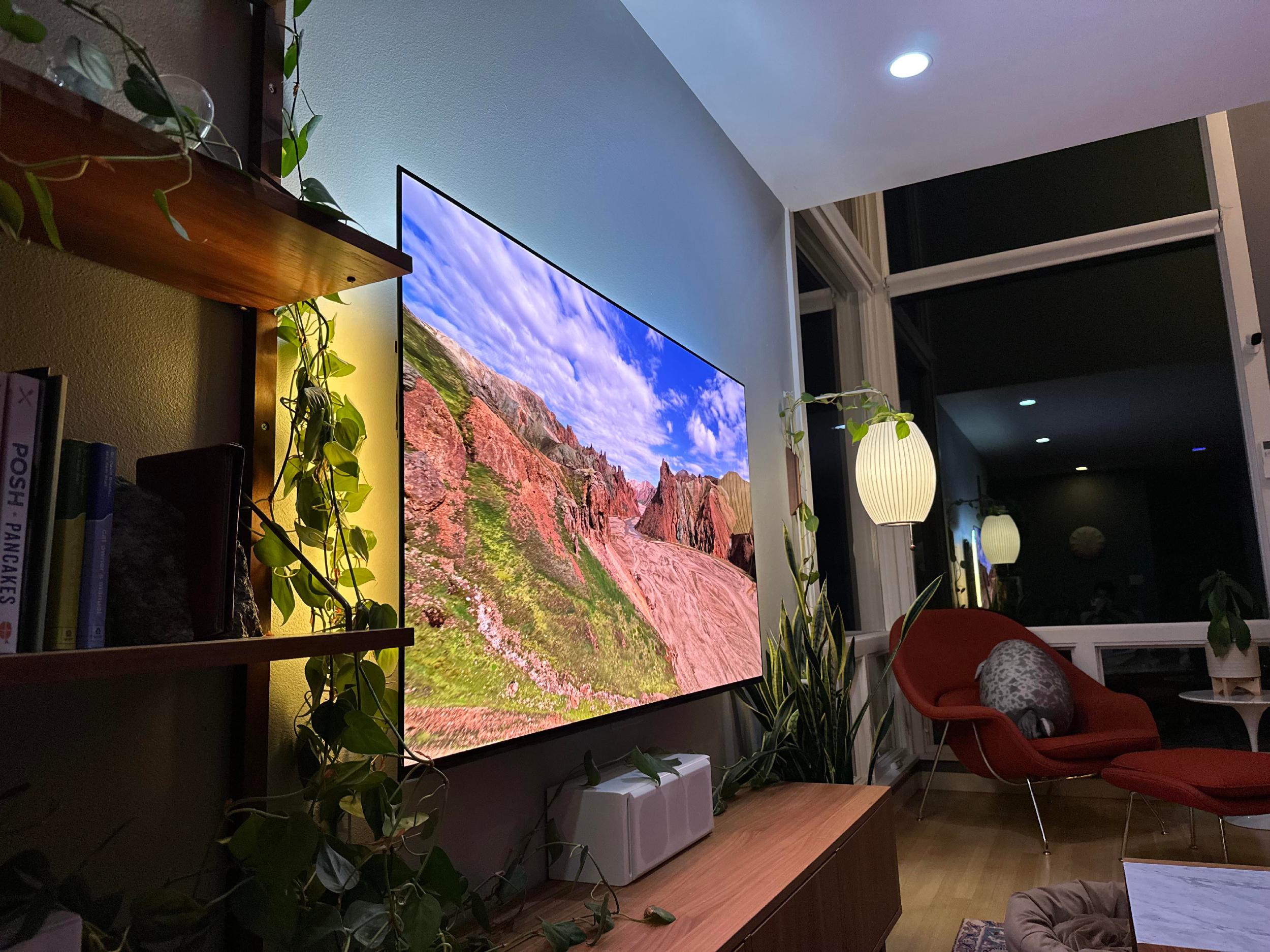 Can’t see the wires when the TV is mounted